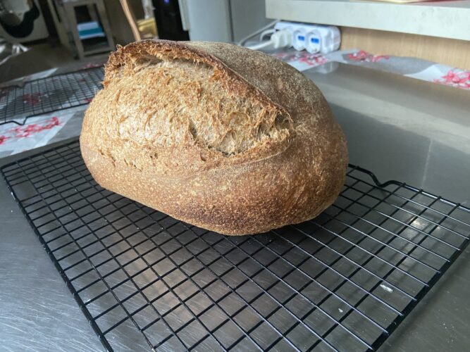 pane orzo e malto lievito madre