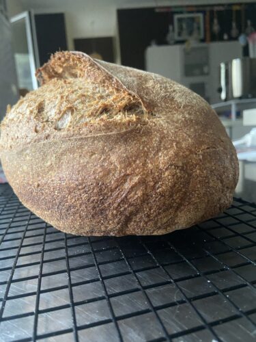 pane orzo e malto lievito madre