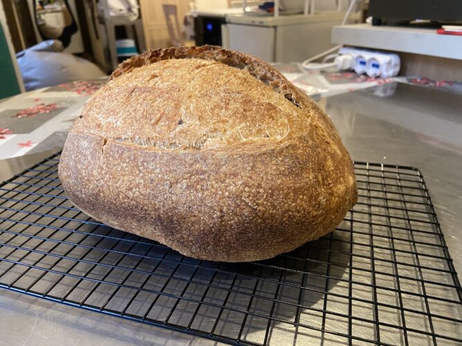 pane paprika pesto rosso