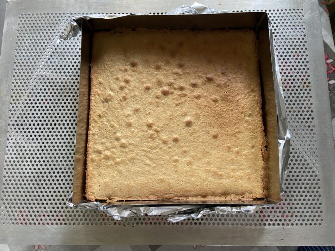 tart moderna 100% nocciola