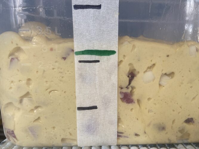bauletto salato bis panettone lievito madre