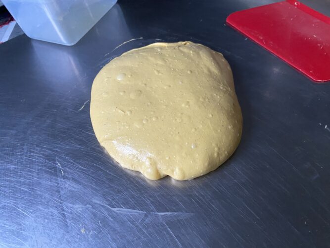 focaccia zucca 80 idratazione