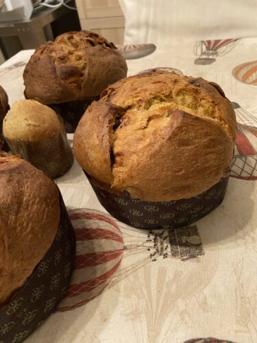 panettone castagne cioccolato