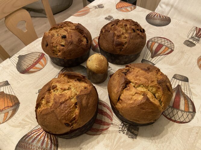 panettone castagne cioccolato