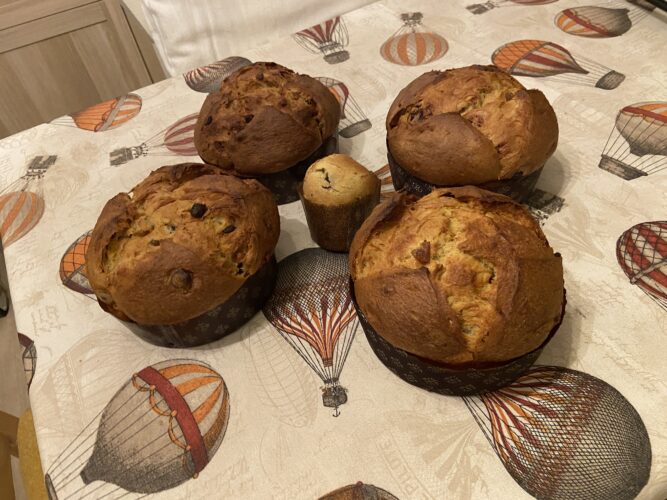 panettone castagne cioccolato