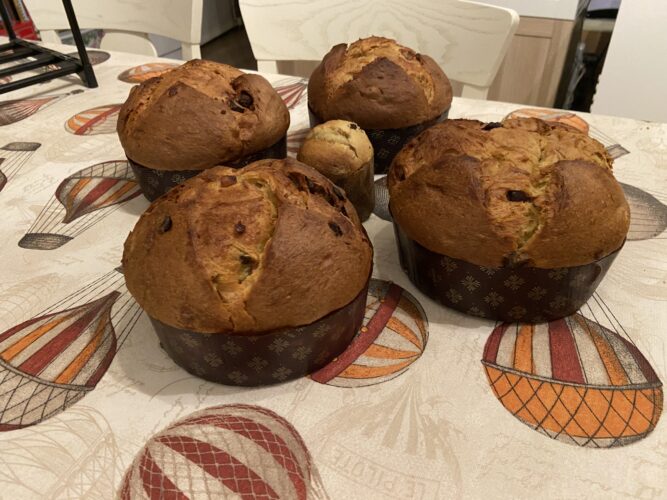 panettone castagne cioccolato