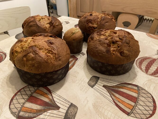 panettone castagne cioccolato