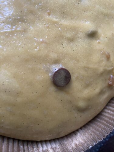 panettone castagne cioccolato