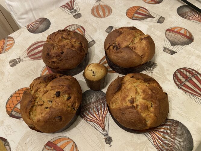 panettone castagne cioccolato