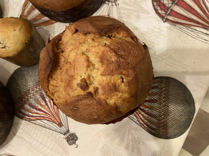 panettone castagne cioccolato
