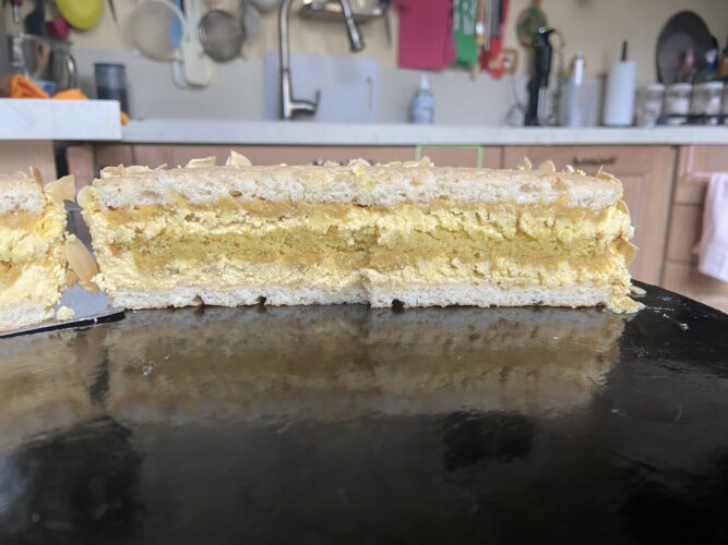 torta elvezia