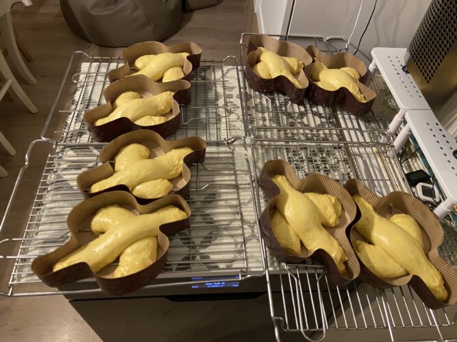 colomba salata