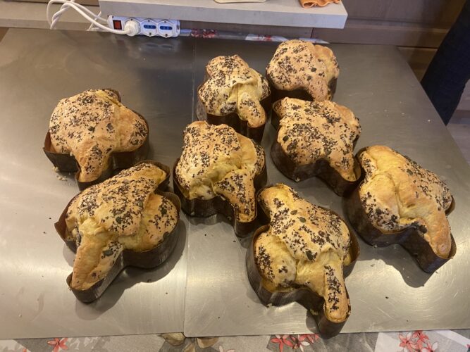 colomba salata