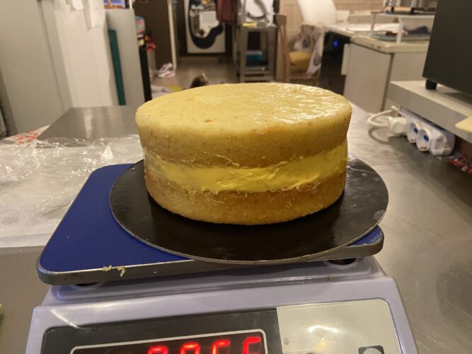 boston creamy pie