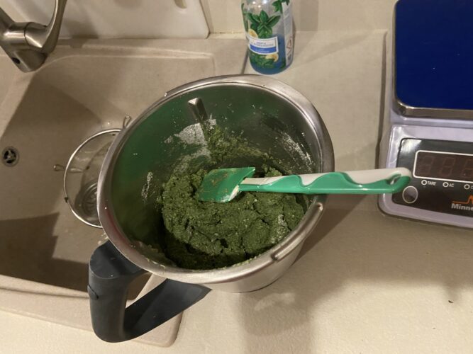 ravioli agli spinaci