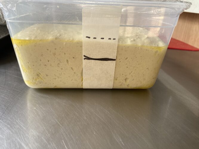 focaccia pesto genovese alta idratazione