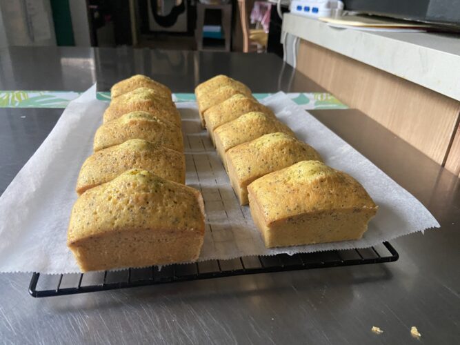 mini plum cake limone semi papavero
