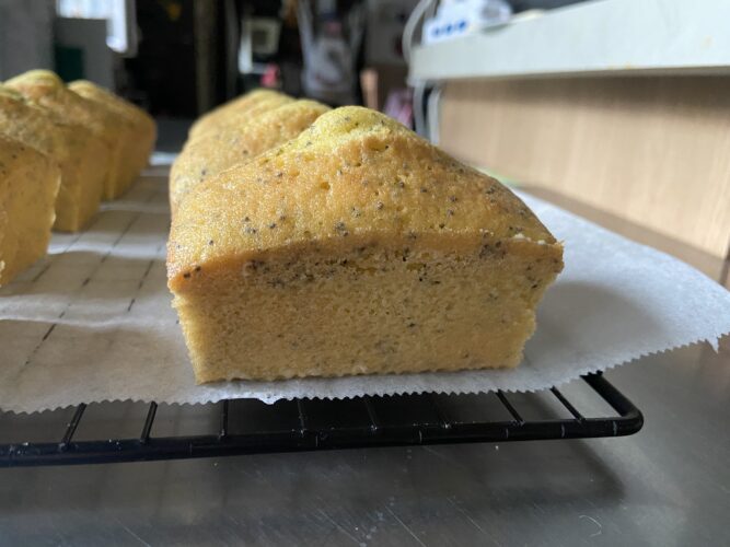 mini plum cake limone semi papavero
