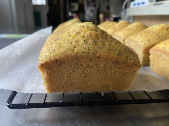 mini plum cake limone semi papavero