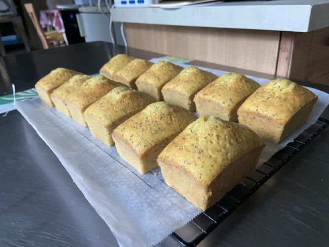 mini plum cake limone semi papavero