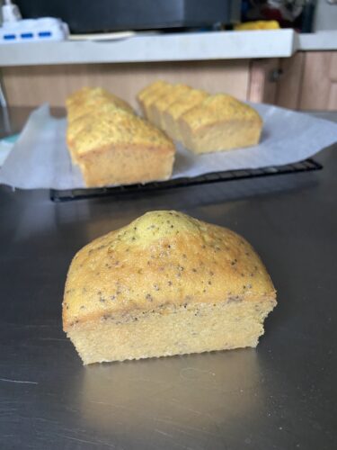 mini plum cake limone semi papavero