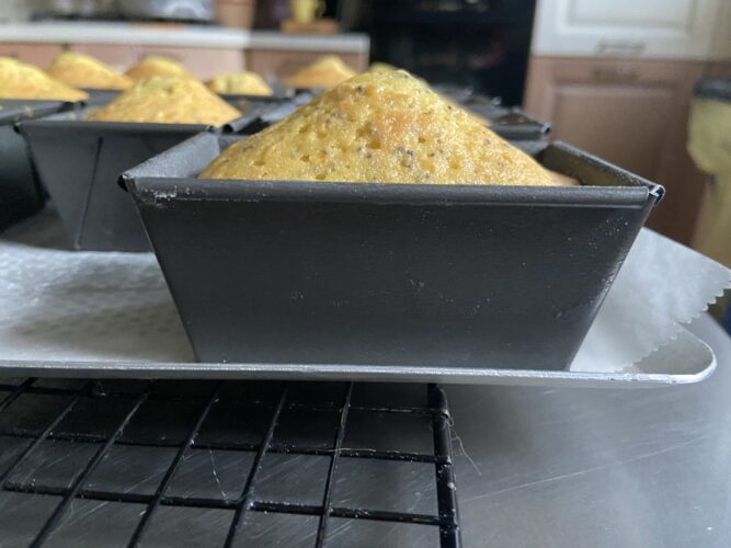 mini plum cake limone semi papavero