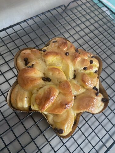 brioche corona crema e gocce cioccolato