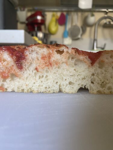 focaccia rosso pomo 80 idratazione