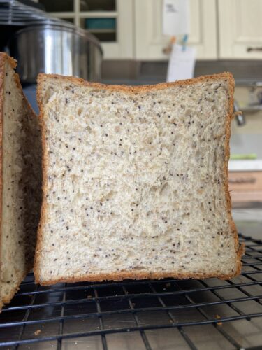 shokupan tang zong semi papavero japanese bread