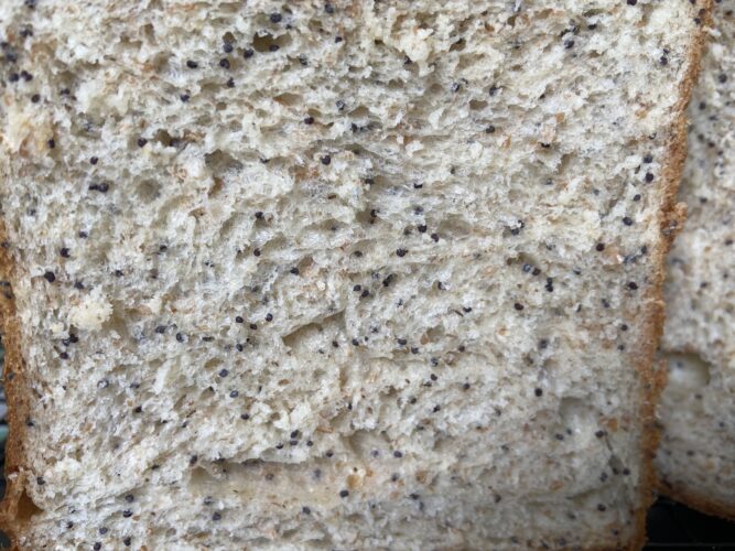 shokupan tang zong semi papavero japanese bread