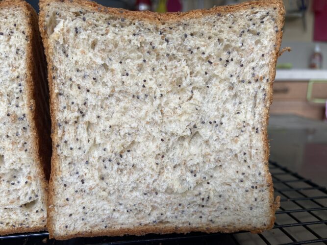 shokupan tang zong semi papavero japanese bread