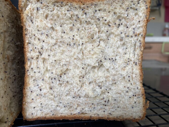 shokupan tang zong semi papavero japanese bread