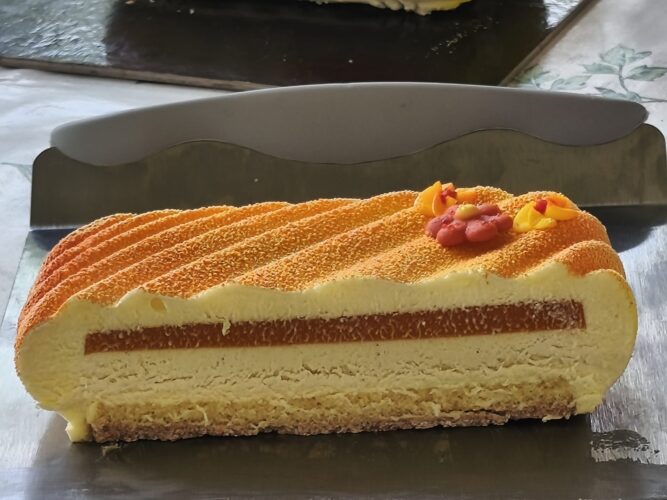 torta moderna albicocca pop