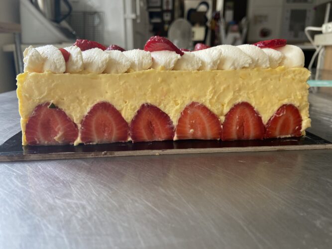 fraisier moderno quadrato