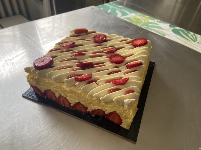 fraisier moderno quadrato