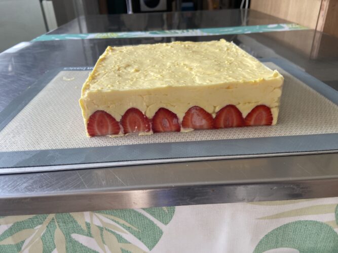 fraisier moderno quadrato