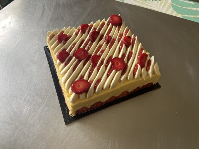 fraisier moderno quadrato