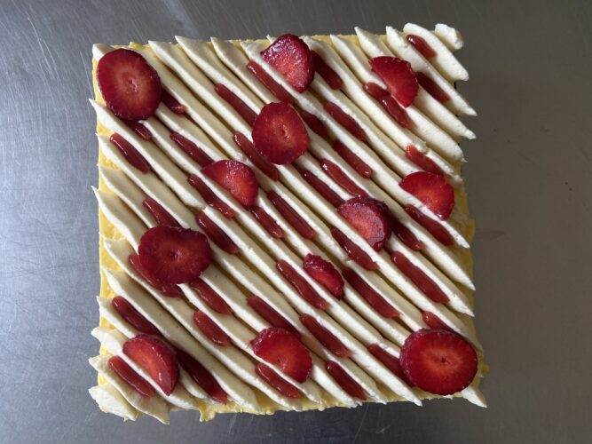 fraisier moderno quadrato