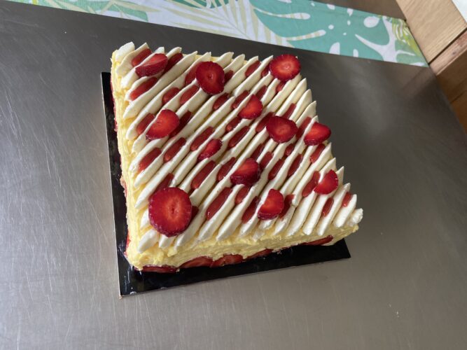 fraisier moderno quadrato