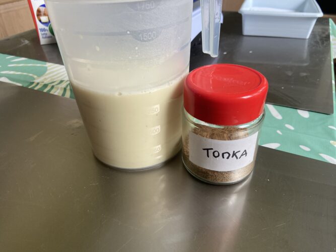 gelato fava tonka