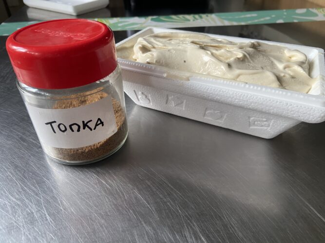 gelato fava tonka