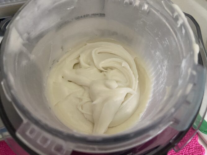 gelato FIORDILATTE ninja creamy