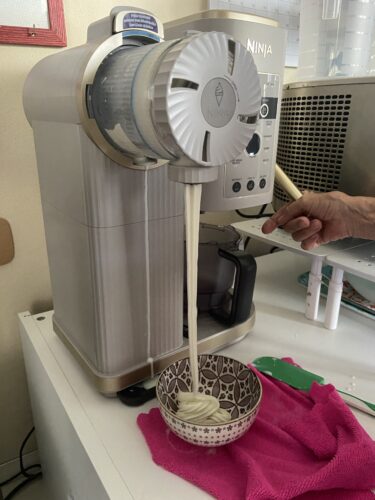 gelato FIORDILATTE ninja creamy