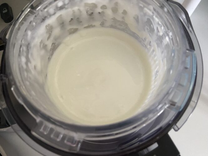 gelato FIORDILATTE ninja creamy