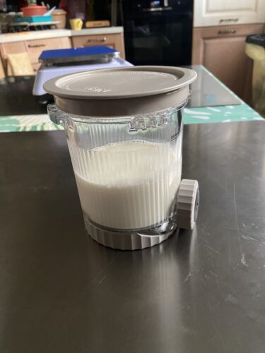 gelato FIORDILATTE ninja creamy
