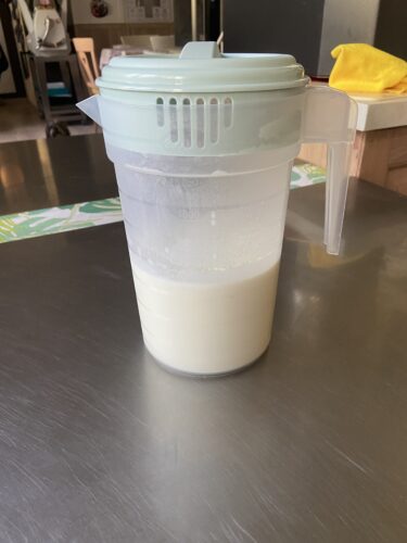 gelato FIORDILATTE ninja creamy