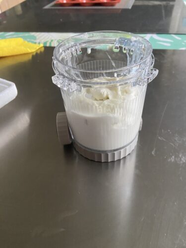 gelato FIORDILATTE ninja creamy