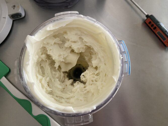 ricciolo ninja creamy scoop & swirl