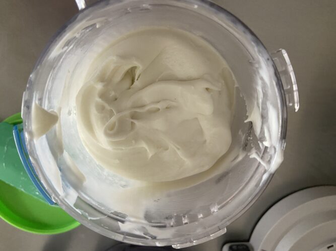 ricciolo ninja creamy scoop & swirl
