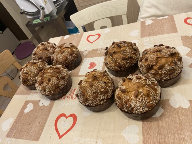 soffioni grandi lievitati malaga mela fatata lievito madre